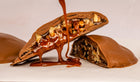 Turtles(5pcs) image 0