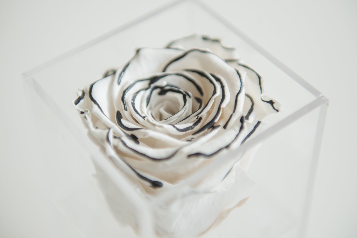 Single acrylic box - Miya Fleuriste - samedaydelivery