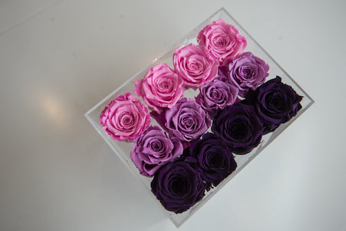 12 Roses Acrylic Box - Miya Fleuriste - samedaydelivery