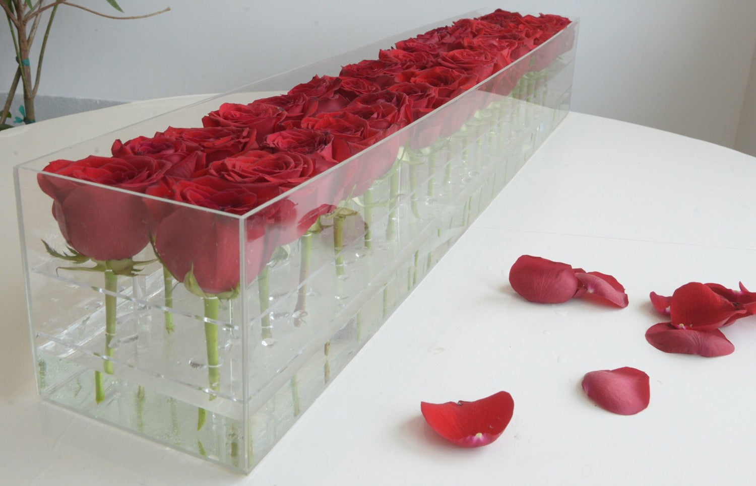 36 fresh roses acrylic flower boxes image 0