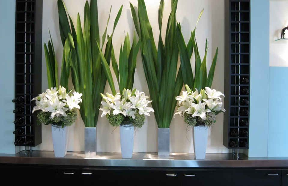 corporate hotel lobby plants