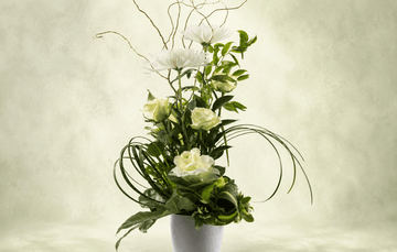 Sans vase