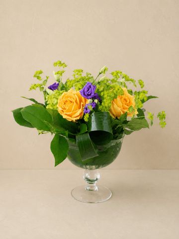 Sans vase