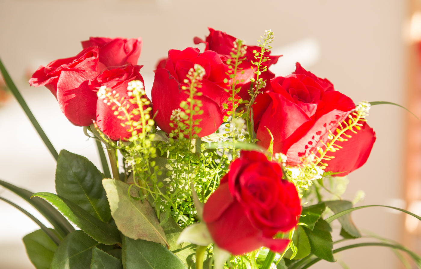 Fresh red rose bouquet for anniversaries and Valentine's Day