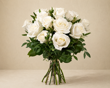 Sans vase