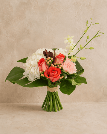 Sans vase