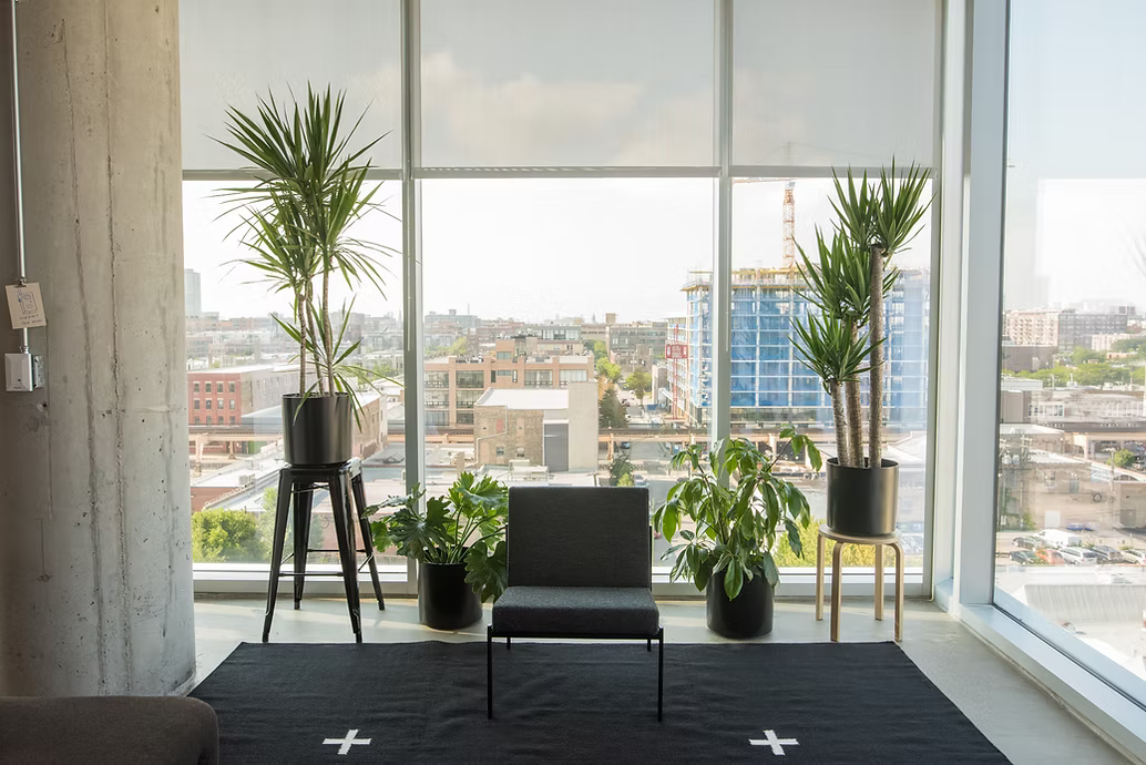 Custom flower designs for offices
