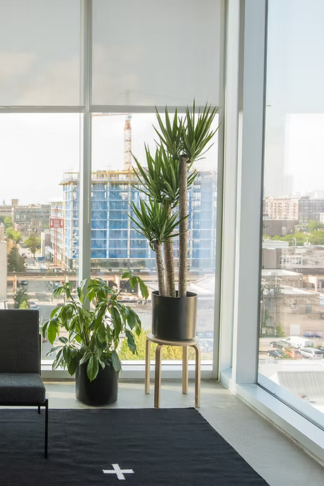 Floral moments for offices, hotels and professional events