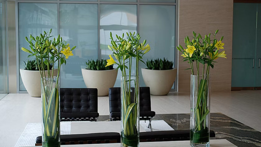 Floral moments for offices, hotels and professional events