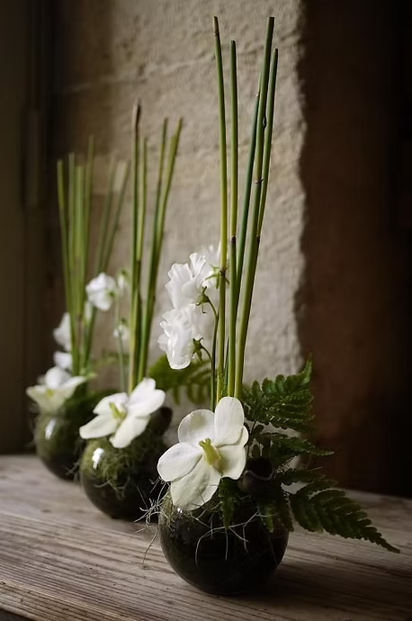 Floral moments for offices, hotels and professional events
