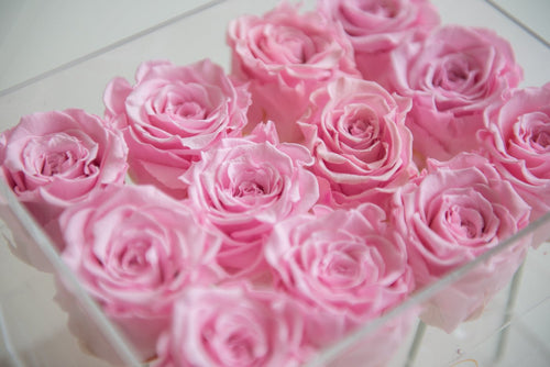 12 Roses Acrylic Box - Miya Fleuriste - samedaydelivery