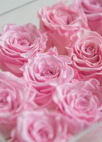 Flower boxes