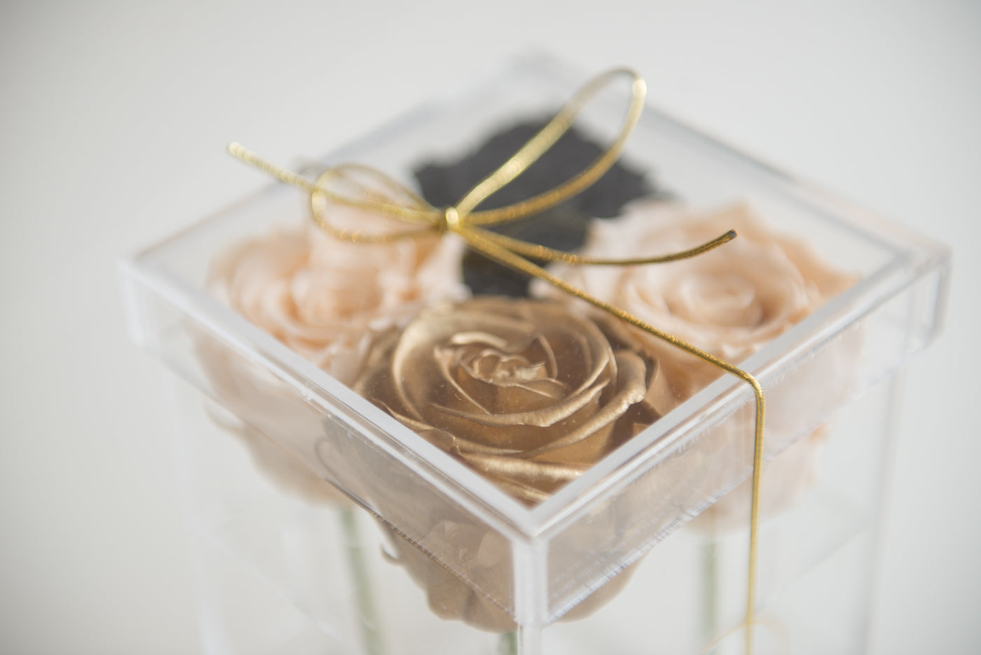 Four roses in an acrylic box image 1
