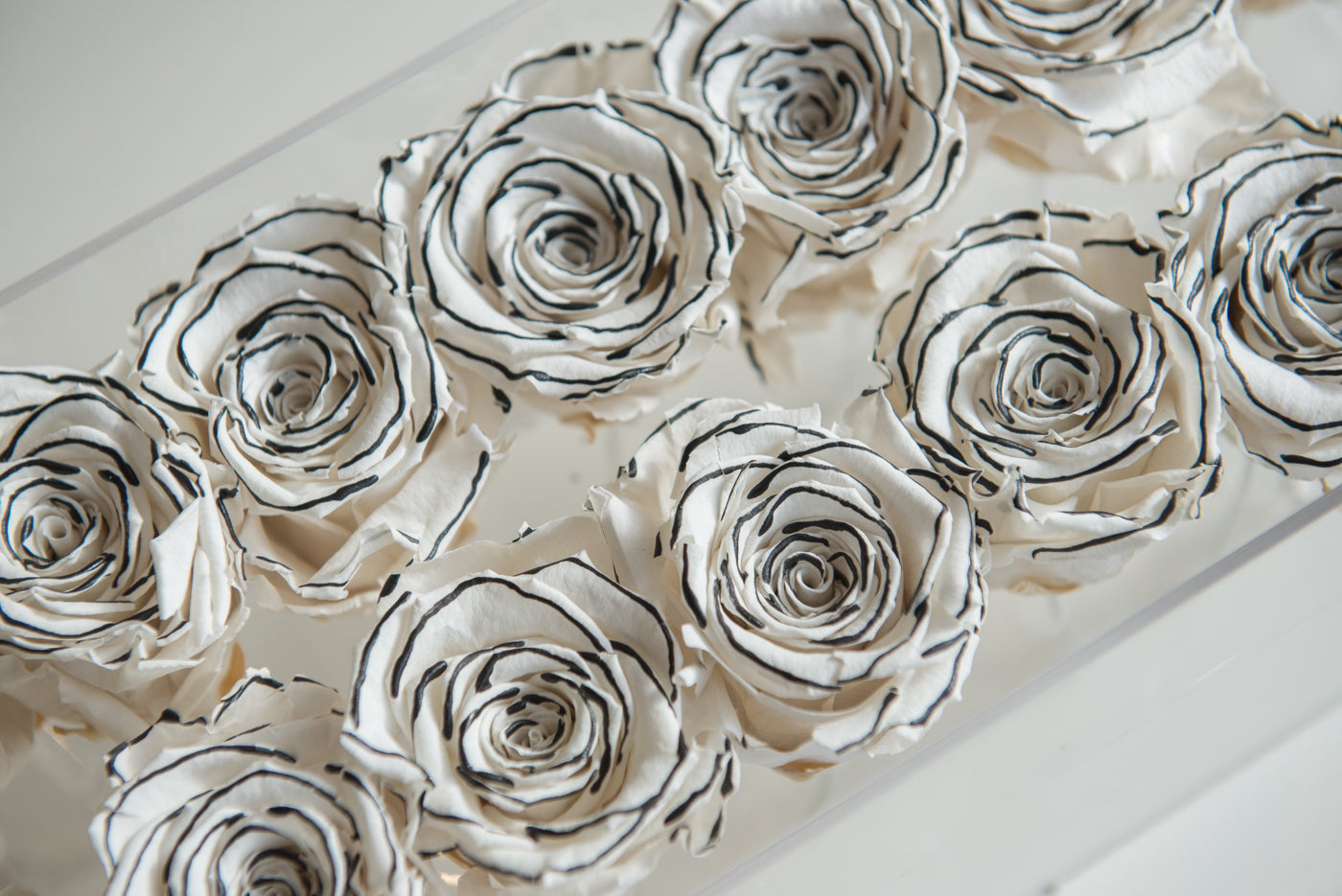 24  roses image 1