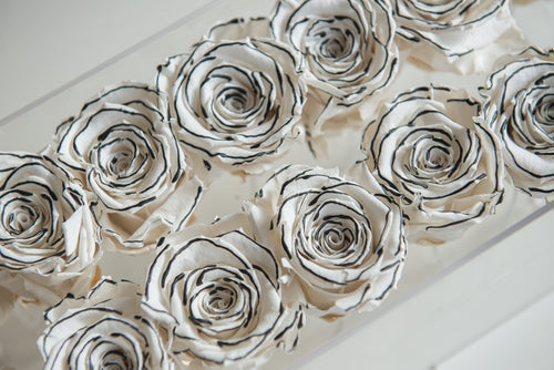 24  roses image 1