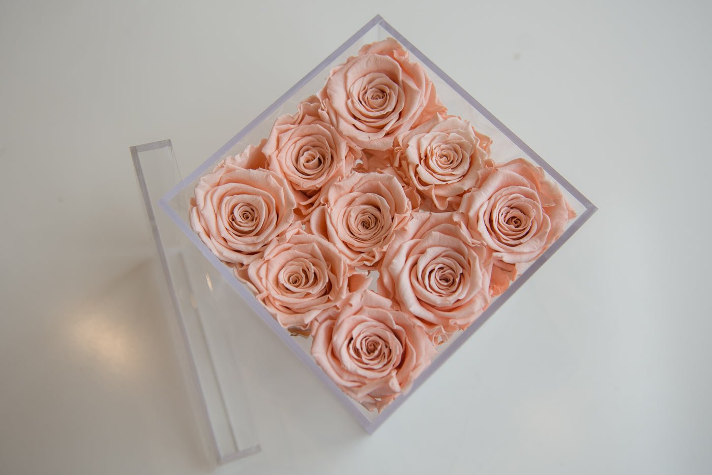 9 Forever Roses Acrylic Box - Miya Fleuriste - samedaydelivery