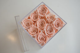 Fresh Roses