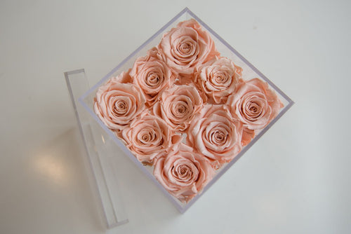 9 Forever Roses Acrylic Box - Miya Fleuriste - samedaydelivery