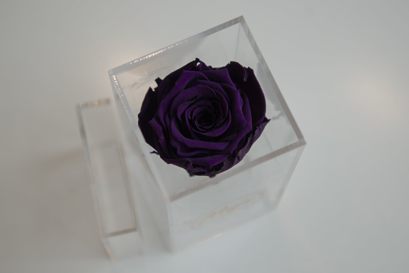 Single acrylic box - Miya Fleuriste - samedaydelivery