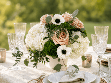 Sans vase